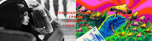 шишки Армянск
