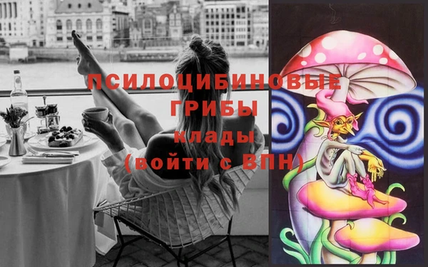гашик Арсеньев