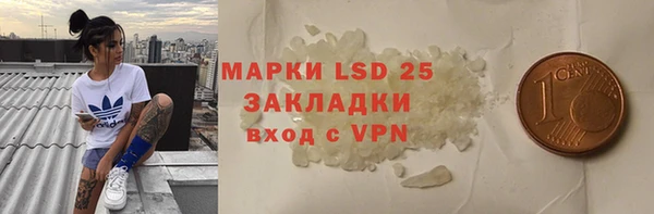 шишки Армянск