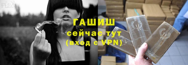 стаф Аркадак