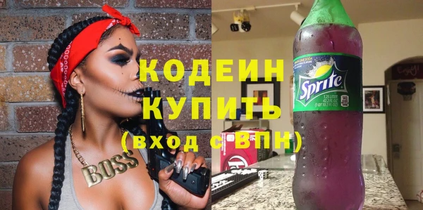 гашик Арсеньев