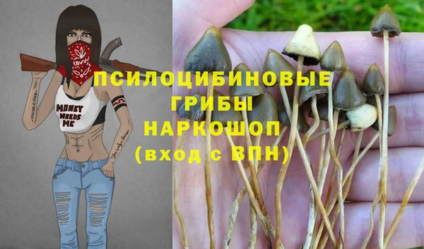 шишки Армянск