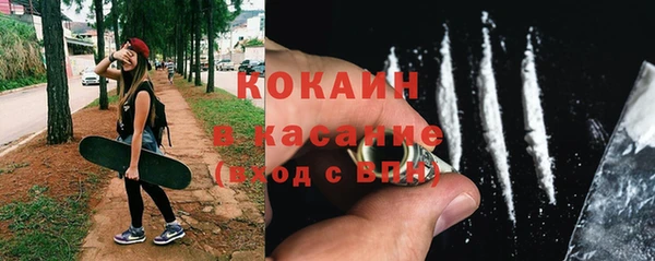 шишки Армянск
