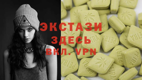 стаф Аркадак
