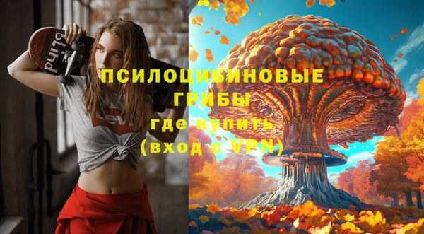 гашик Арсеньев