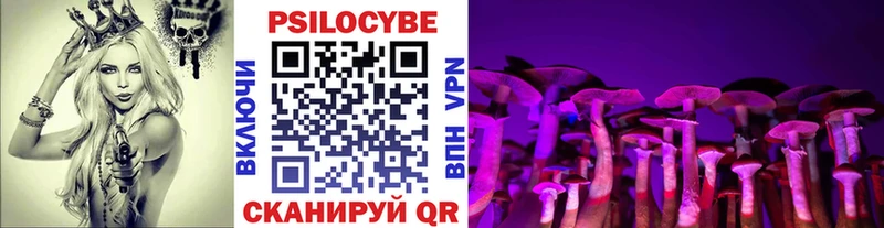 ссылка на мегу tor  Партизанск  Псилоцибиновые грибы ЛСД 